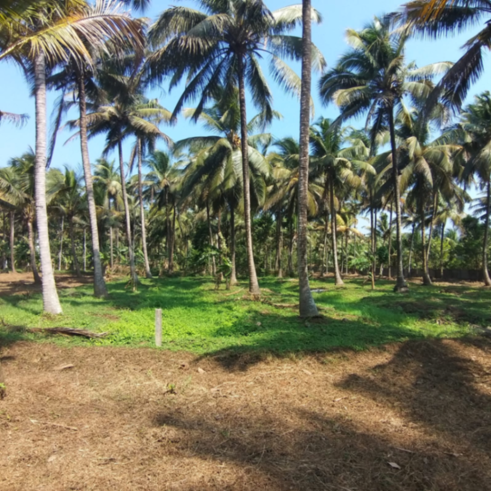 One Acre land for sale in Thrissur