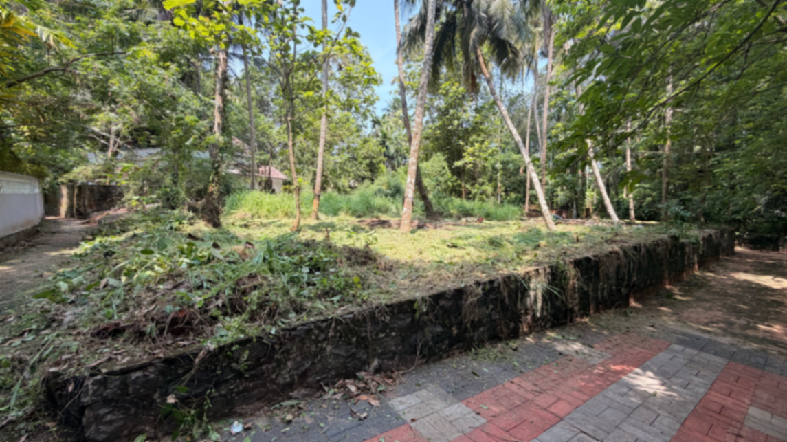 Residential plot in elathur