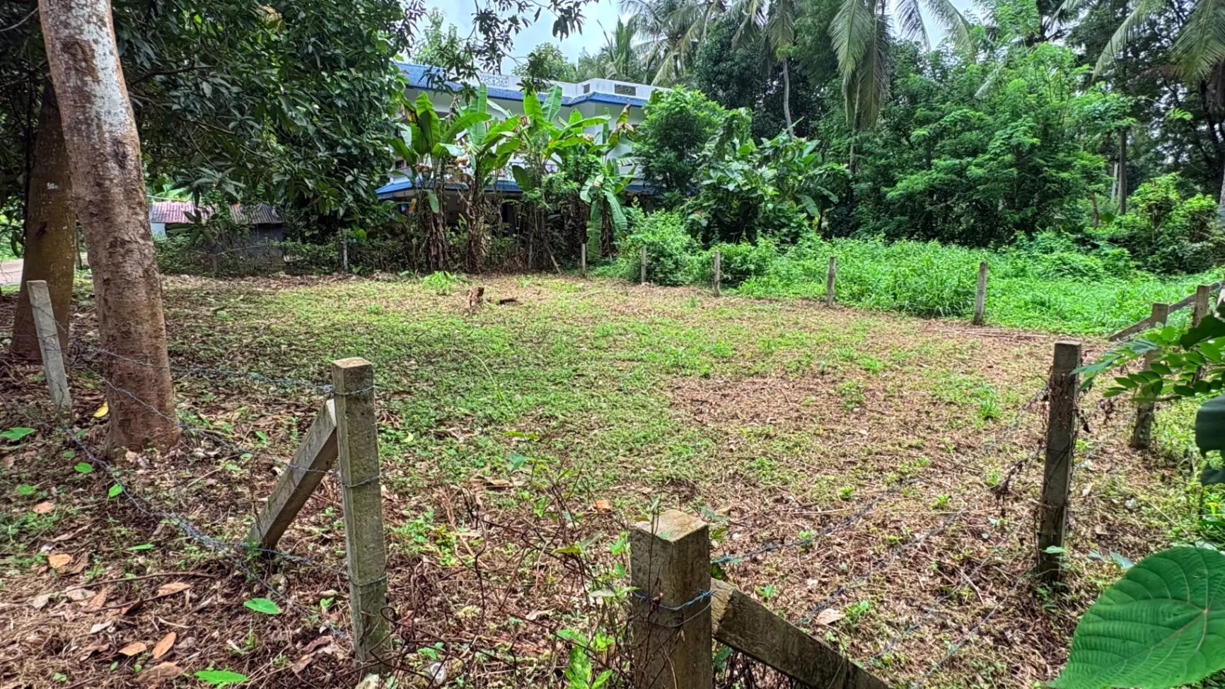 6 Cent Residential Plot for Sale Near Mundaya Ayyappa Temple, Shoranur