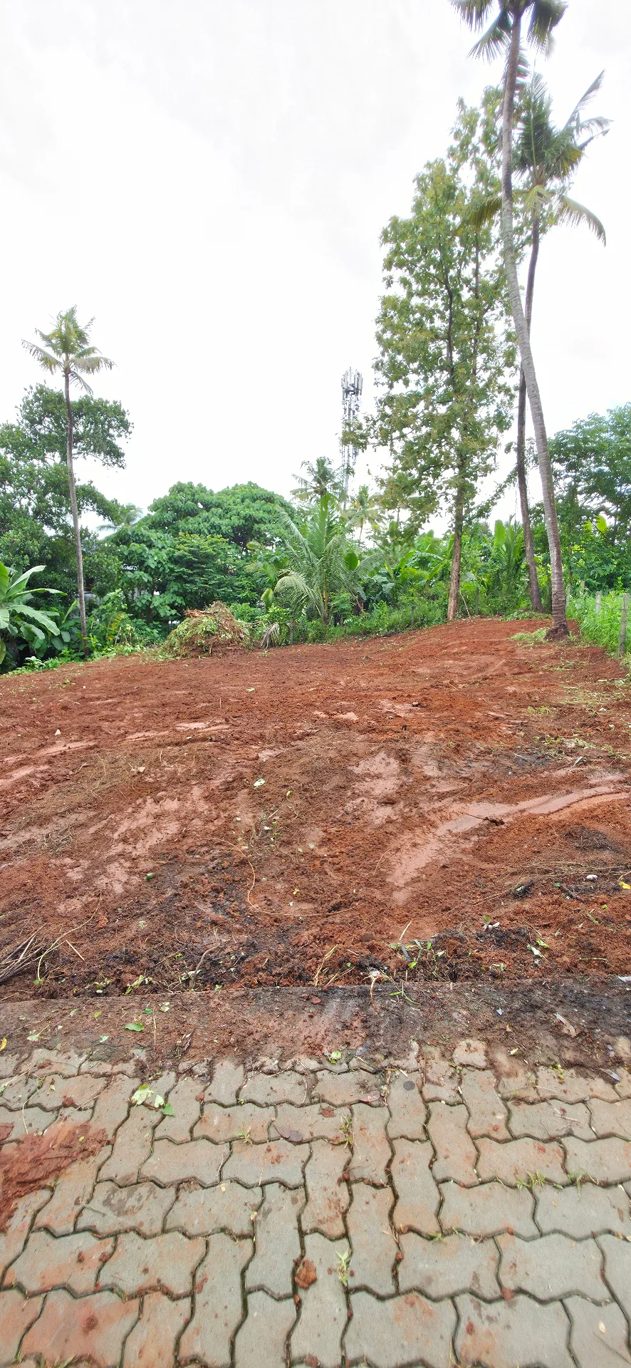 Plot for Sale in Cheerachi, Thrissur