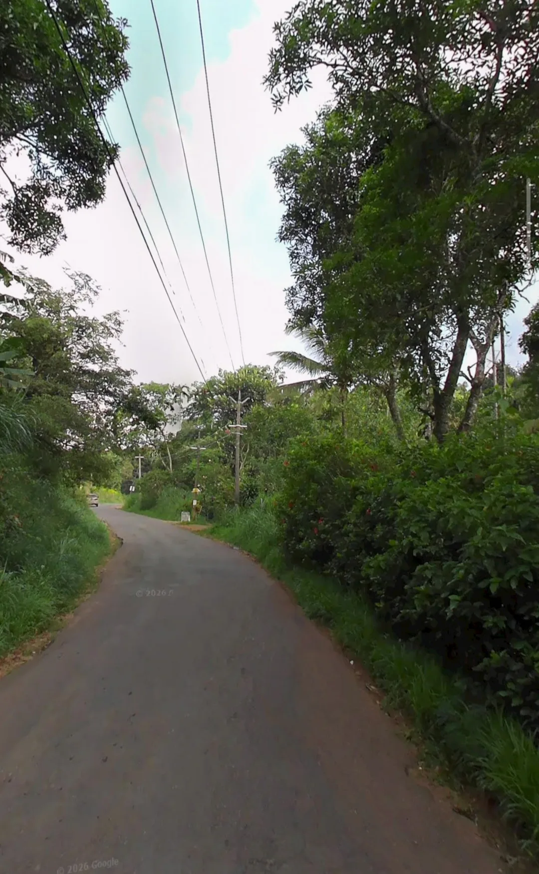 Near HP gas plot