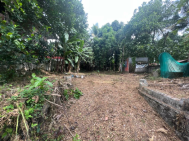 Residential Property in Thrikkodithanam