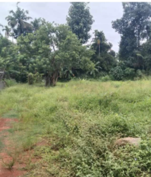 8 cent plot for sale
