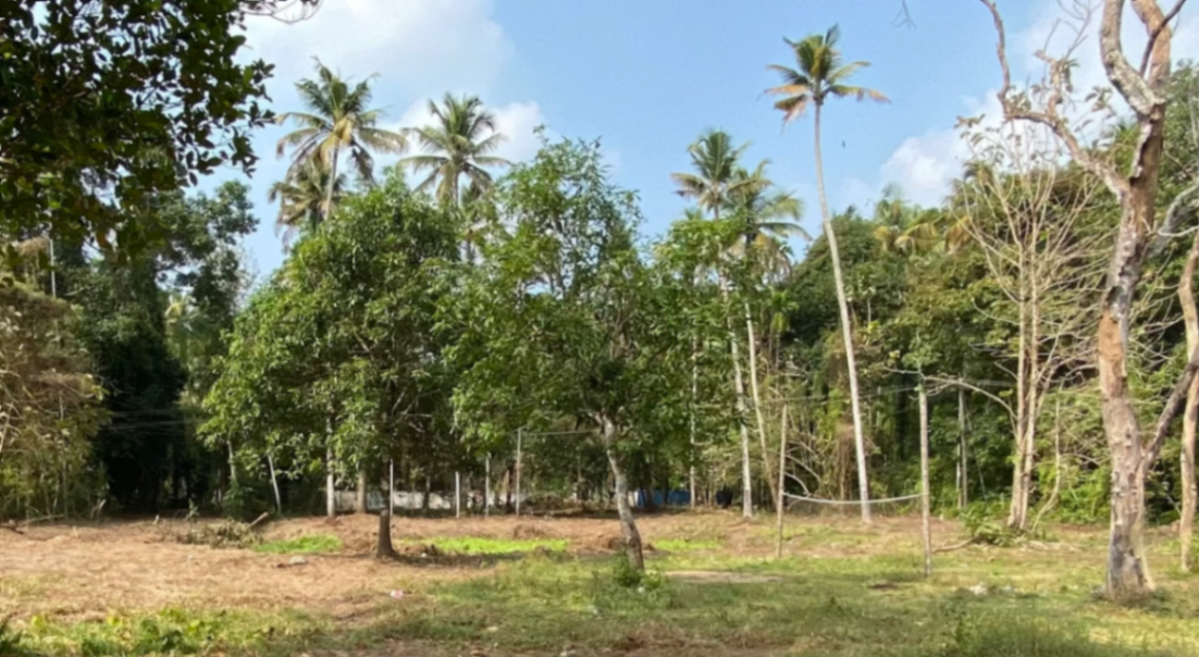 Residential plot @Edamuttam West