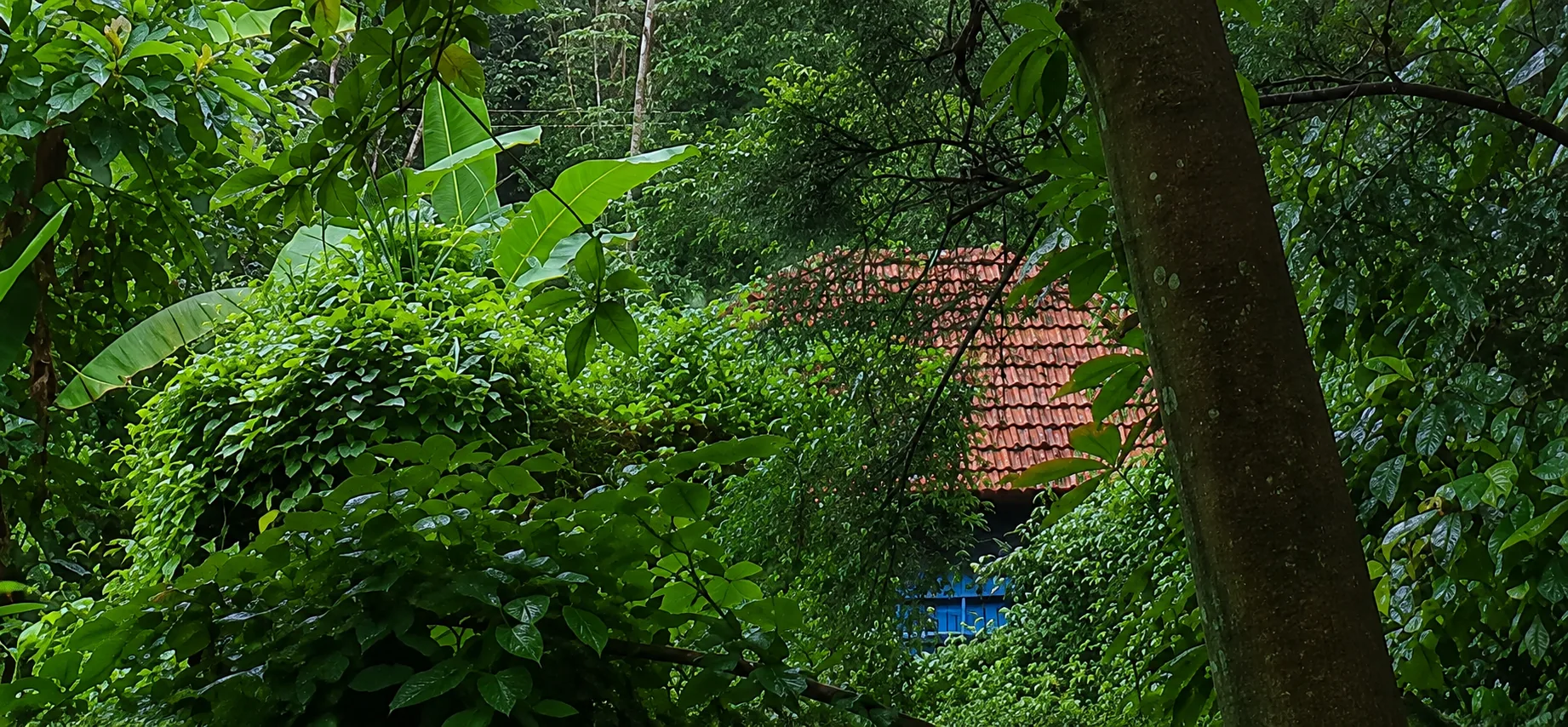 സ്വപ്നവീടിനായി അനുയോജ്യമായ പ്ലോട്ട്