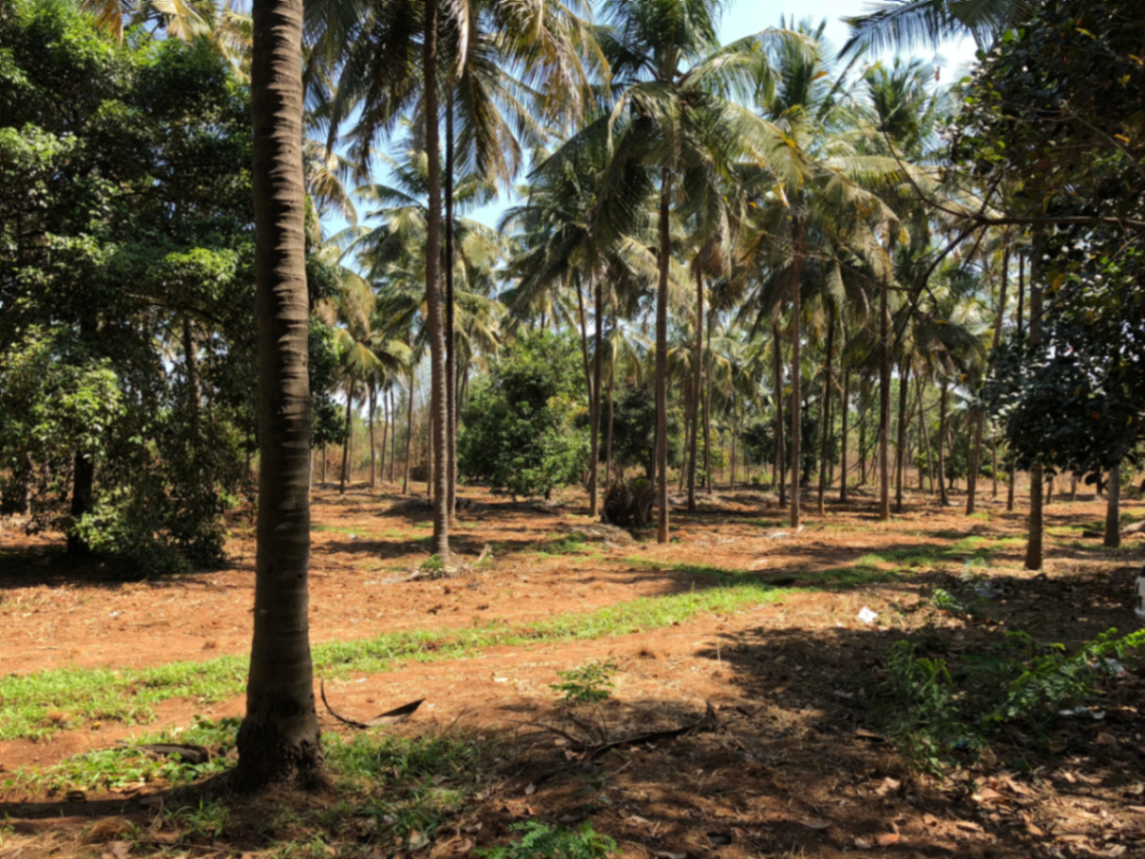 Plot for Sale in Peringandoor, Thrissur