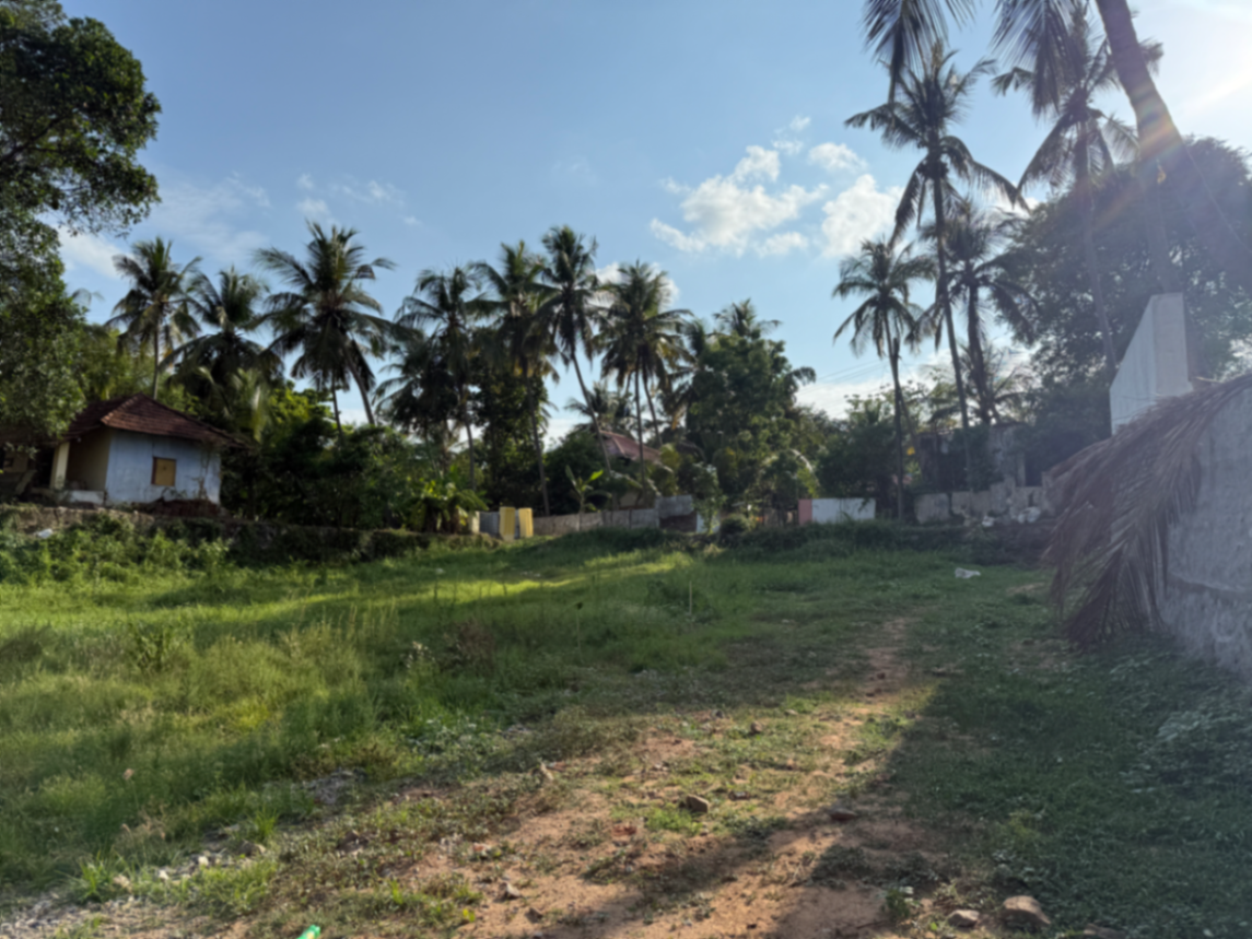 Residential plot in Kannadi