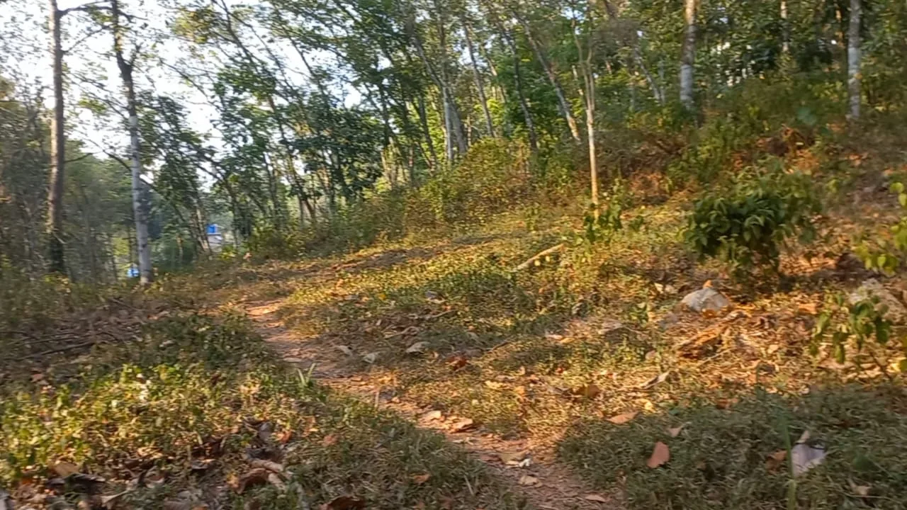 Residential Plot 10 cents in Vazhoor
